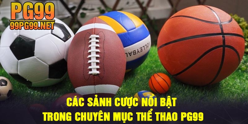 Cac sanh cuoc noi bat trong chuyen muc The Thao PG99 Cac sanh cuoc noi bat trong chuyen muc The Thao PG99