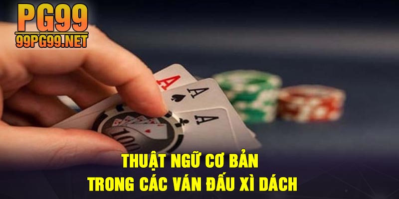 Thuat ngu co ban trong cac van dau xi dach Thuật ngữ cơ bản trong các ván đấu xì dách